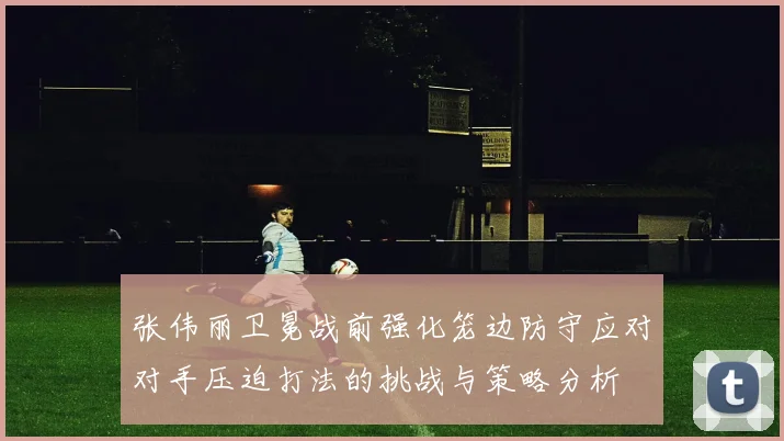 张伟丽卫冕战前强化笼边防守应对对手压迫打法的挑战与策略分析