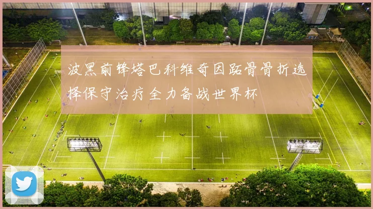 波黑前锋塔巴科维奇因跖骨骨折选择保守治疗全力备战世界杯