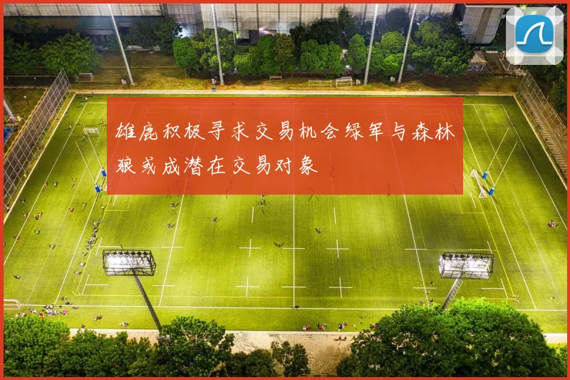 雄鹿积极寻求交易机会绿军与森林狼或成潜在交易对象