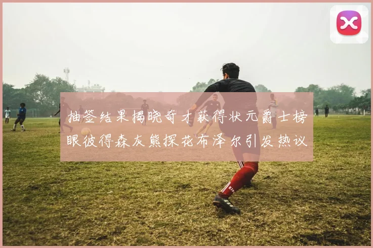 抽签结果揭晓奇才获得状元爵士榜眼彼得森灰熊探花布泽尔引发热议